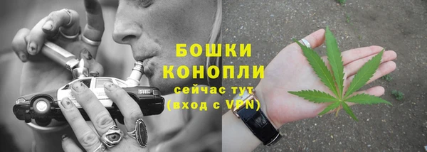 соль ск Медногорск
