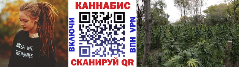 blacksprut сайт Отрадная Бошки Шишки Amnesia